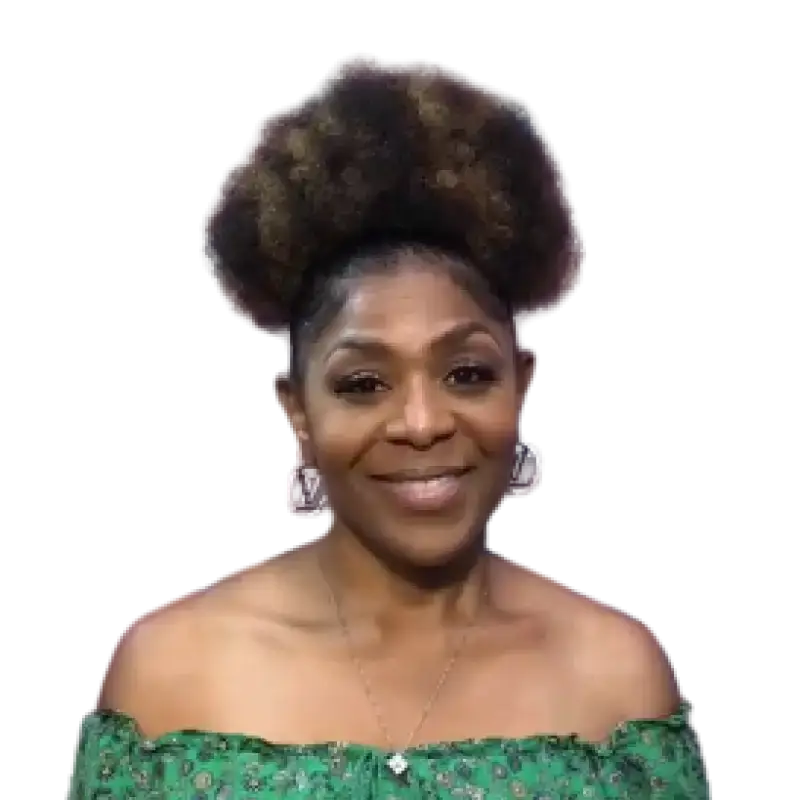 Lapis synthetic wigs bold-Naomi High Puff Curly Afro Synthetic Wig – Natural-Looking Textured Updo